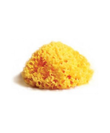 Spugna Naturale del Mediterraneo - Budetta Farma